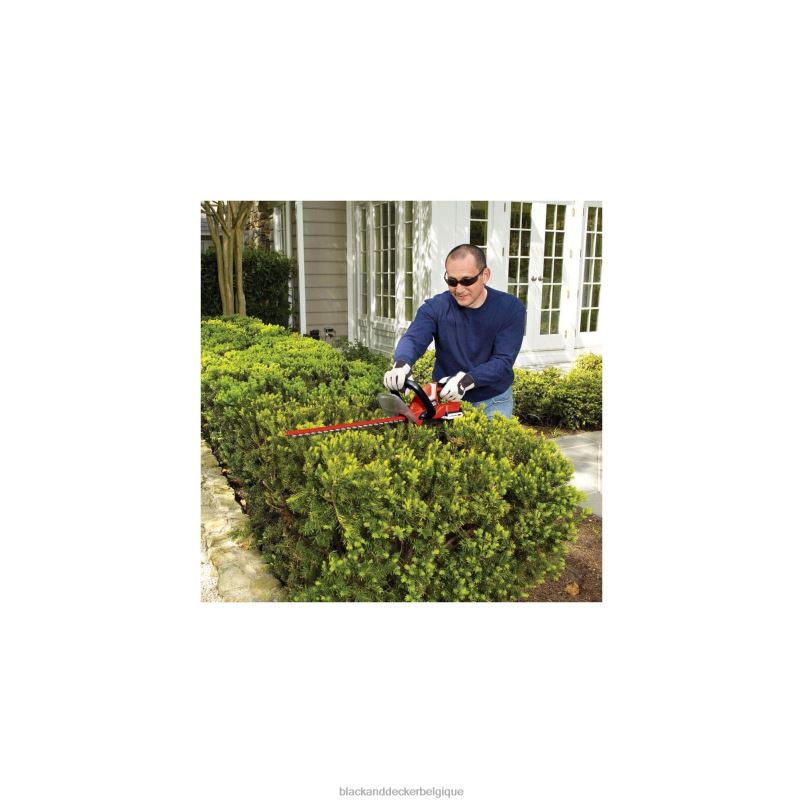 BLACK+DECKER X42D506Taille-haie sans fil 20 V max, outil de 22 pouces uniquement Extérieur
