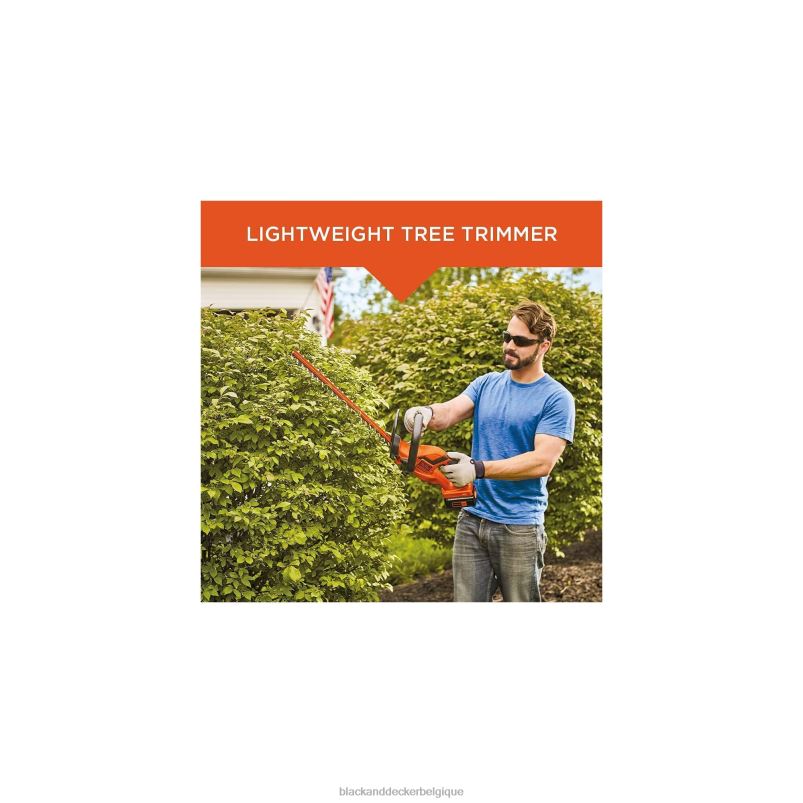 BLACK+DECKER X42D507Taille-haie 22