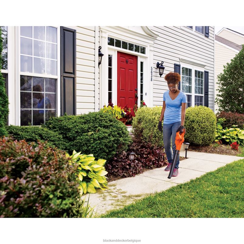 BLACK+DECKER X42D429Balayeuse sans fil 20 V maximum Extérieur
