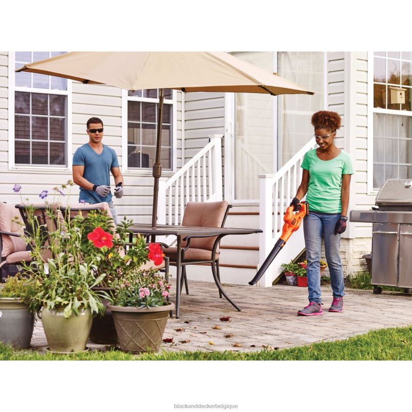BLACK+DECKER X42D429Balayeuse sans fil 20 V maximum Extérieur