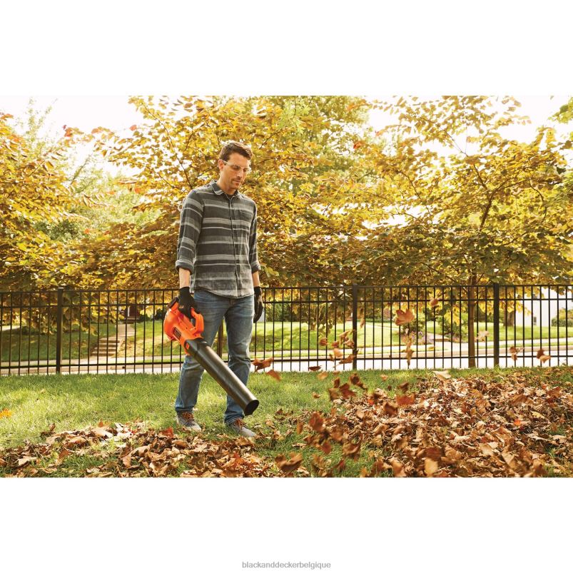 BLACK+DECKER X42D430Souffleur à feuilles axial 20 V max 2,0 Ah Extérieur