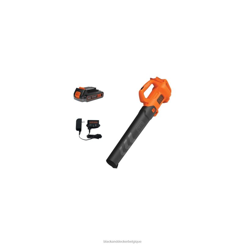 BLACK+DECKER X42D431Kit souffleur de feuilles sans fil 20 V max. Extérieur
