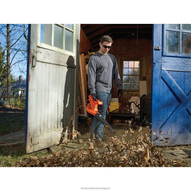 BLACK+DECKER X42D444souffleur de feuilles électrique 7 ampères Extérieur
