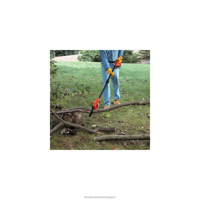 BLACK+DECKER X42D396Scie à perche 20 V max, outil de 8 pouces uniquement Extérieur