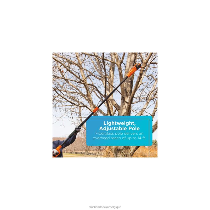 BLACK+DECKER X42D396Scie à perche 20 V max, outil de 8 pouces uniquement Extérieur