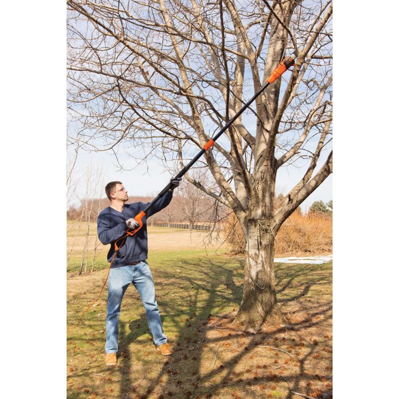 BLACK+DECKER X42D398Scie à perche de 6,5 A, 9 1/2 pieds Extérieur