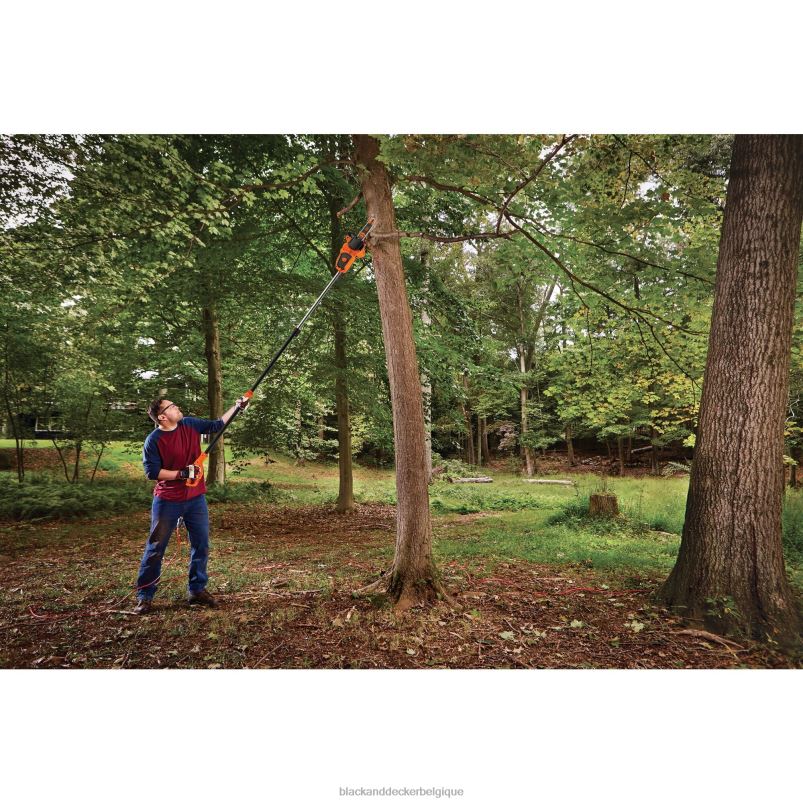 BLACK+DECKER X42D399Tronçonneuse à perche électrique 2 en 1, 8 A, 10 po Extérieur