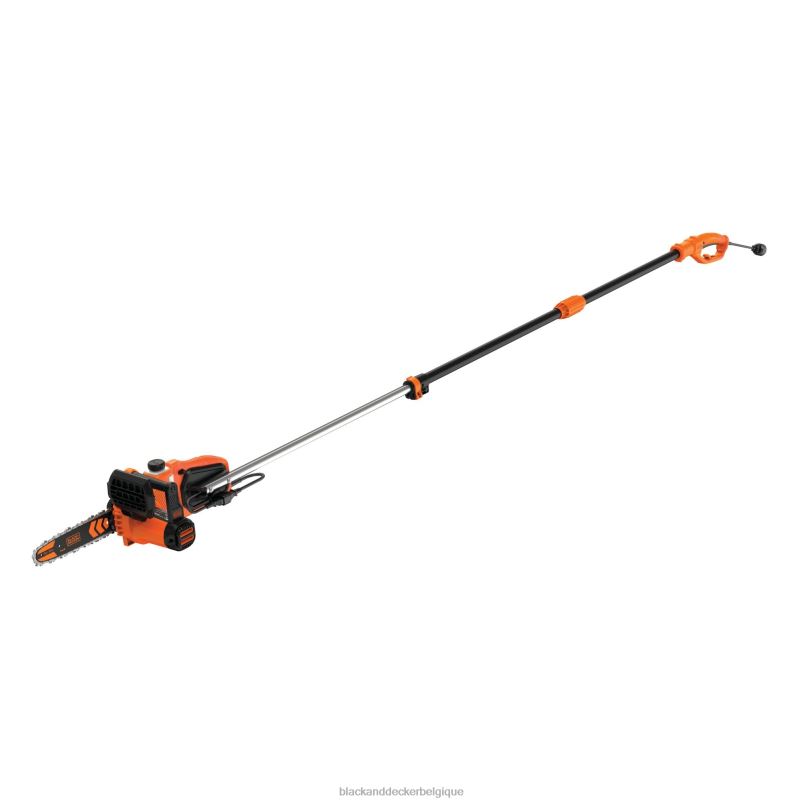 BLACK+DECKER X42D399Tronçonneuse à perche électrique 2 en 1, 8 A, 10 po Extérieur