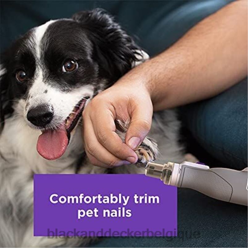 BLACK+DECKER X42D225Coupe-ongles pour animaux de compagnie, outil rotatif maximum 8v maison et style de vie