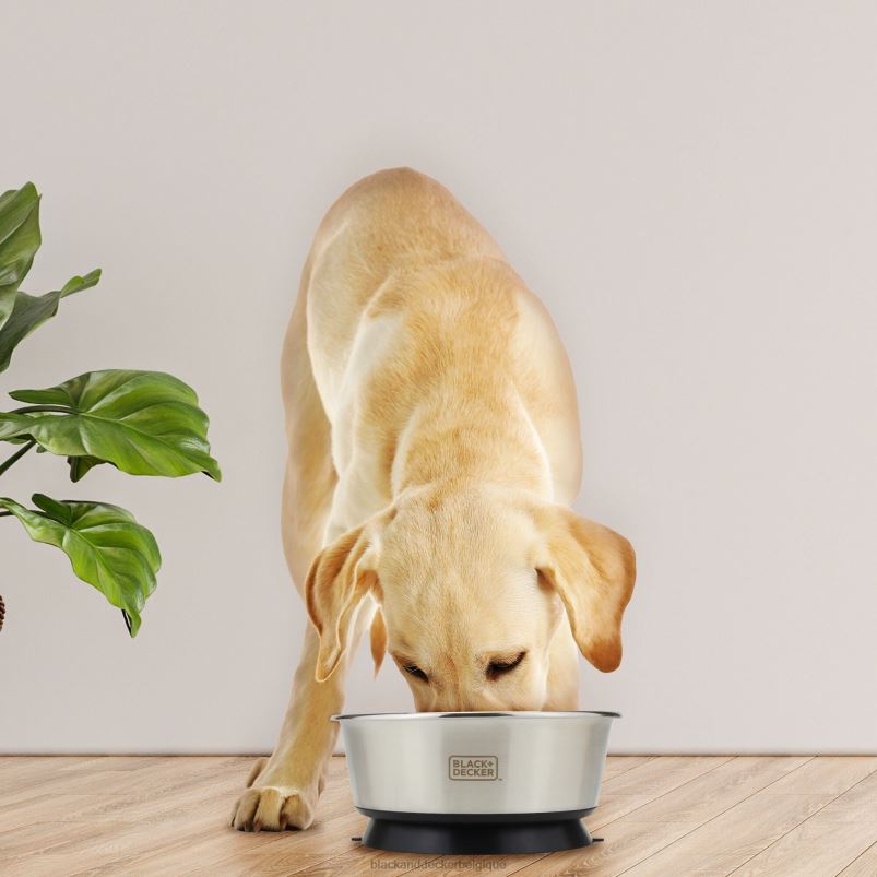BLACK+DECKER X42D244gamelle pour animaux de compagnie à ventouse 8,26 po maison et style de vie