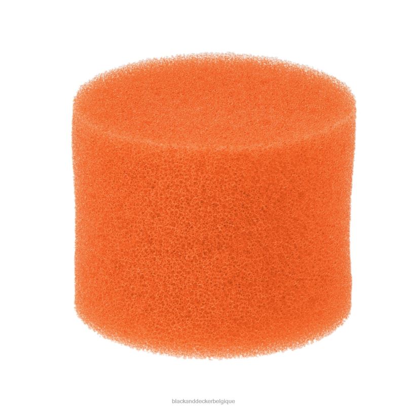 BLACK+DECKER X42D81Filtre de remplacement pour nettoyeur de taches sans fil Spillbuster nettoyage