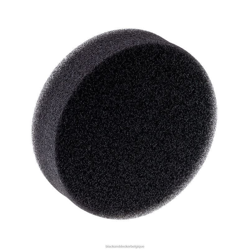 BLACK+DECKER X42D83filtre pour aspirateur à main Dustbuster nettoyage