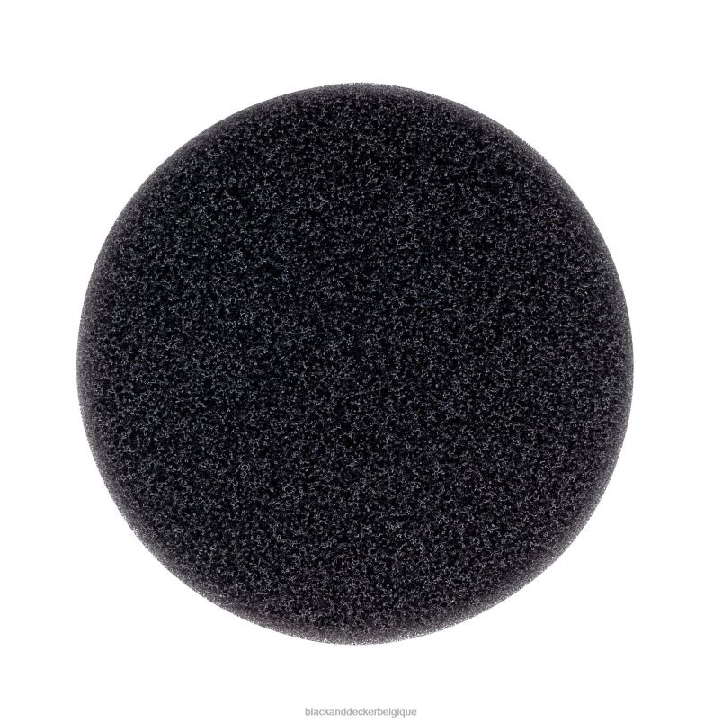 BLACK+DECKER X42D83filtre pour aspirateur à main Dustbuster nettoyage