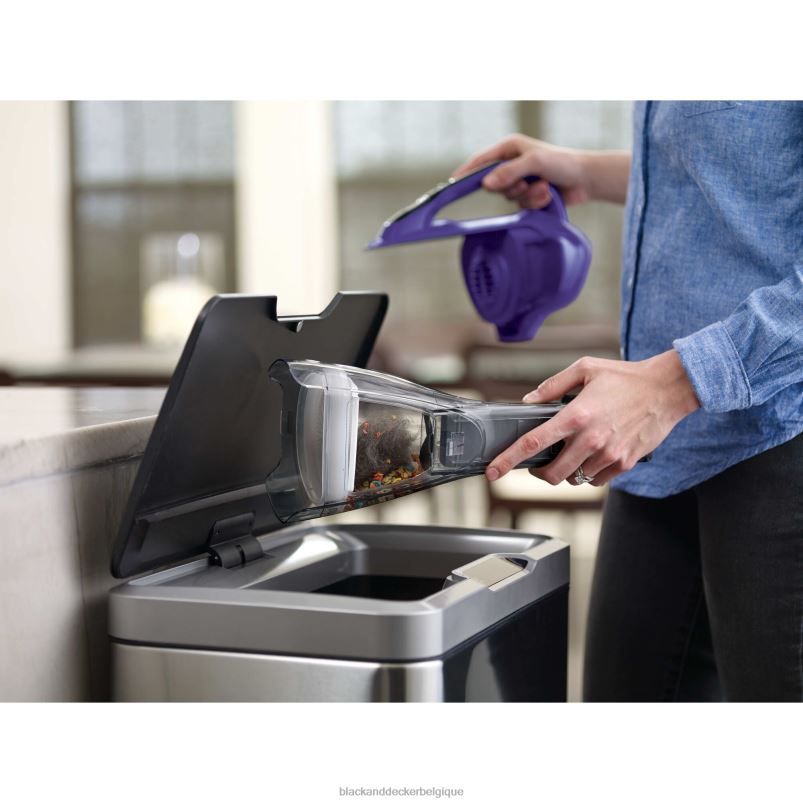 BLACK+DECKER X42D15Aspirateur à main sans fil Dustbuster AdvancedClean Pet nettoyage