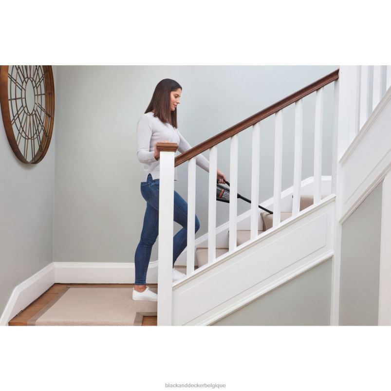 BLACK+DECKER X42D1Dustbuster aspirateur à main sans fil advancedclean noir nettoyage