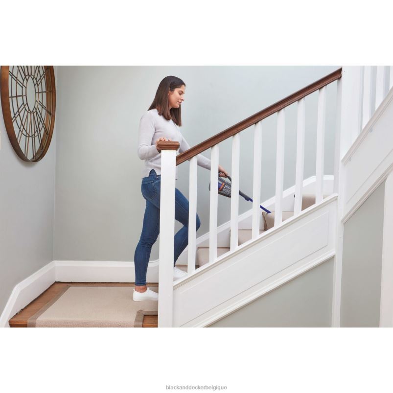 BLACK+DECKER X42D26Aspirateur à main pour animaux de compagnie Dustbuster Advancedclean 20 V max avec chargeur de base et filtre supplémentaire nettoyage