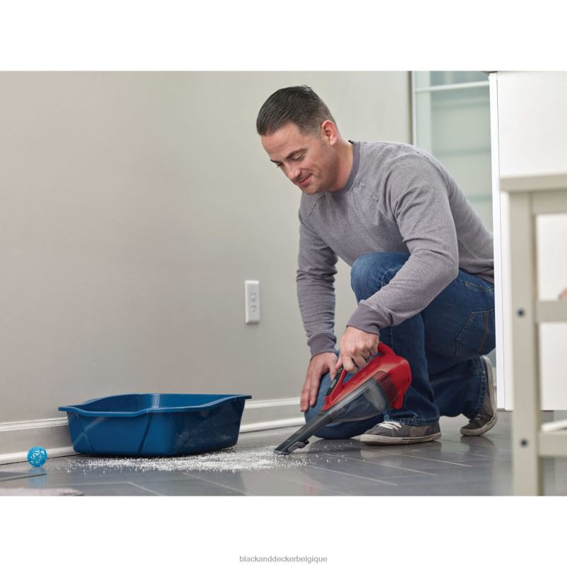 BLACK+DECKER X42D29Aspirateur à main sans fil Dustbuster AdvancedClean nettoyage