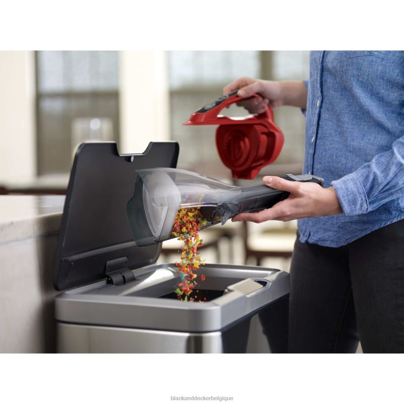 BLACK+DECKER X42D29Aspirateur à main sans fil Dustbuster AdvancedClean nettoyage