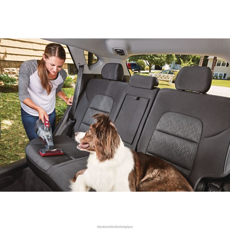 BLACK+DECKER X42D2Aspirateur à main sans fil pour voiture Dustbuster quickclean avec brosse pour tissus d'ameublement motorisée nettoyage