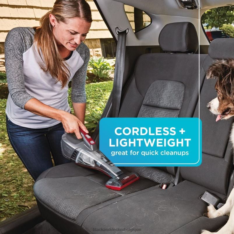 BLACK+DECKER X42D2Aspirateur à main sans fil pour voiture Dustbuster quickclean avec brosse pour tissus d'ameublement motorisée nettoyage