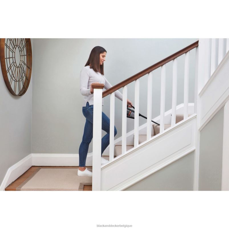 BLACK+DECKER X42D36Aspirateur à main Dustbuster AdvancedClean Gen 11 - 5 cellules 1,5 Ah nettoyage