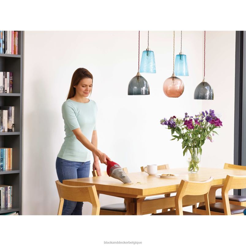 BLACK+DECKER X42D38aspirateur à main Dustbuster nettoyage