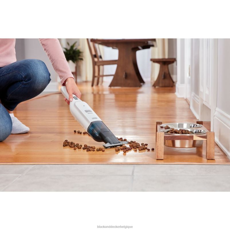 BLACK+DECKER X42D4Aspirateur à main sans fil Dustbuster AdvancedClean Slim nettoyage