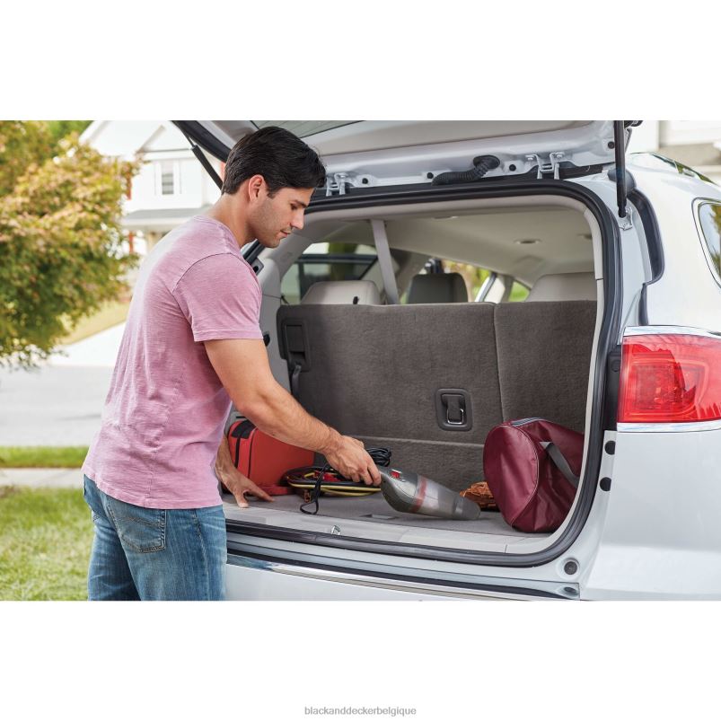 BLACK+DECKER X42D51Aspirateur à main Dustbuster 12 V Max DC QuickClean pour voiture gris nettoyage