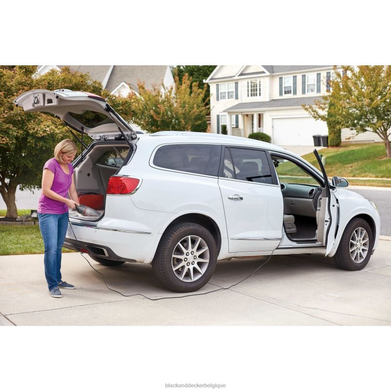 BLACK+DECKER X42D51Aspirateur à main Dustbuster 12 V Max DC QuickClean pour voiture gris nettoyage