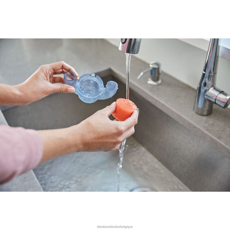 BLACK+DECKER X42D65Nettoyeur de taches sans fil Spillbuster avec filtre supplémentaire nettoyage