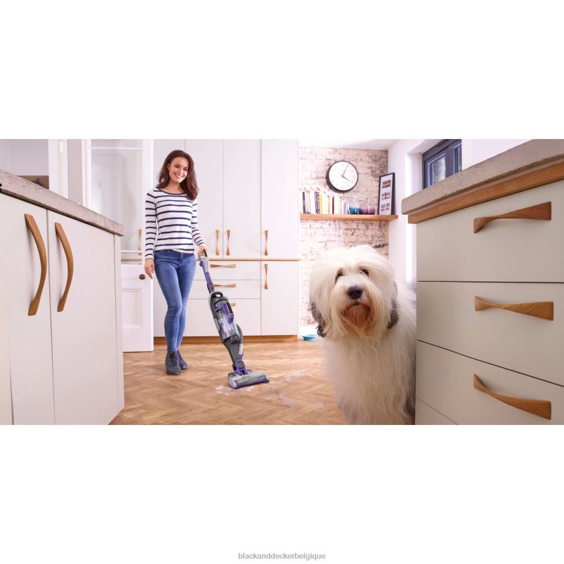 BLACK+DECKER X42D97Aspirateur balai sans fil Powerseries Pro Pet nettoyage