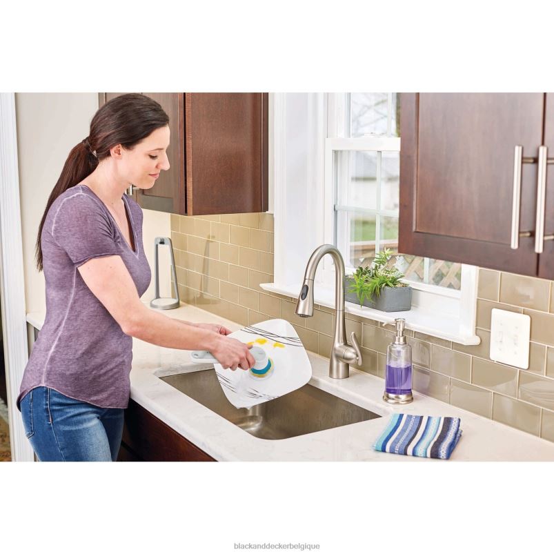 BLACK+DECKER X42D117Grimebuster Pro Power Brosse à récurer rechargeable nettoyage
