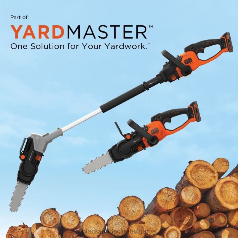 BLACK+DECKER X42D756Accessoire pour tronçonneuse 20 V max 10 pouces outils