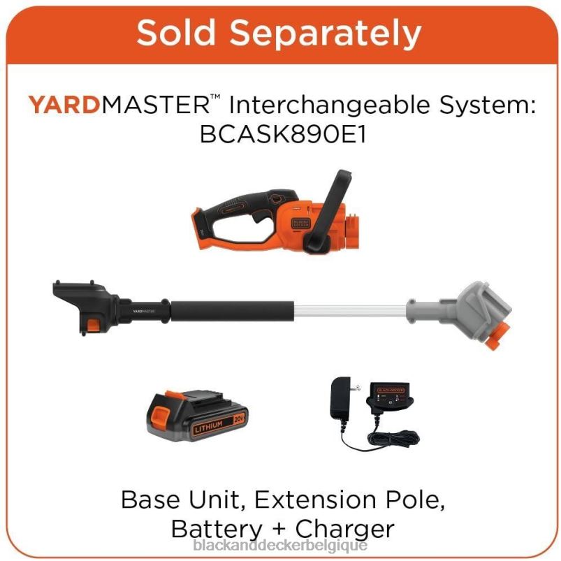 BLACK+DECKER X42D756Accessoire pour tronçonneuse 20 V max 10 pouces outils