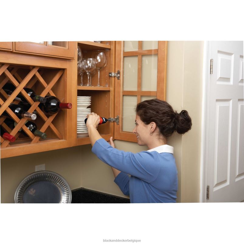 BLACK+DECKER X42D583Tournevis sans fil outils